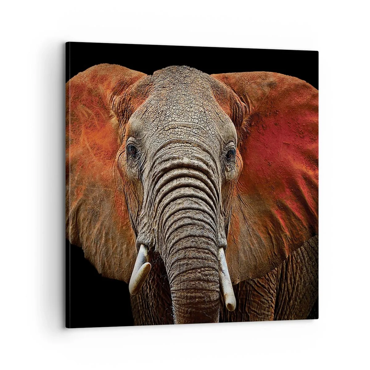 Lærredstryk - Billede på lærred - Jeg er vild, er du? - 60x60 cm