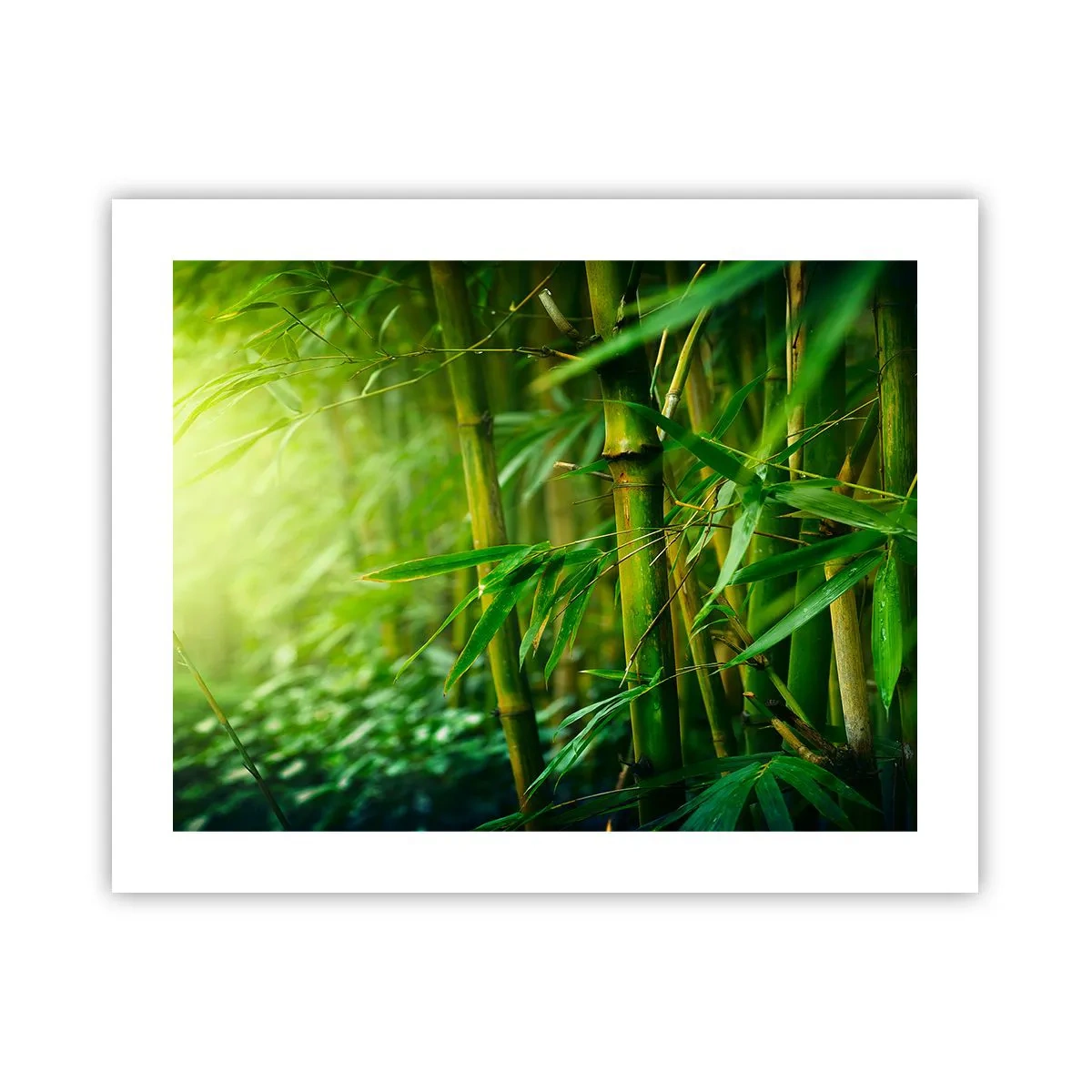 Plakat - Lær selve det grønne at kende - 50x40 cm
