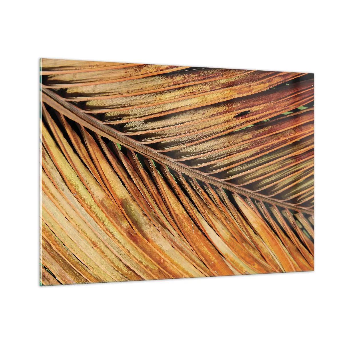 Billede på glas - Kokosnød guld - 100x70 cm