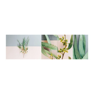Prøve Fototapet Selvklæbende Deluxe Sticker - Pastelfarvernes subtilitet - Pastel, Plante, Boho - 100x30 cm
