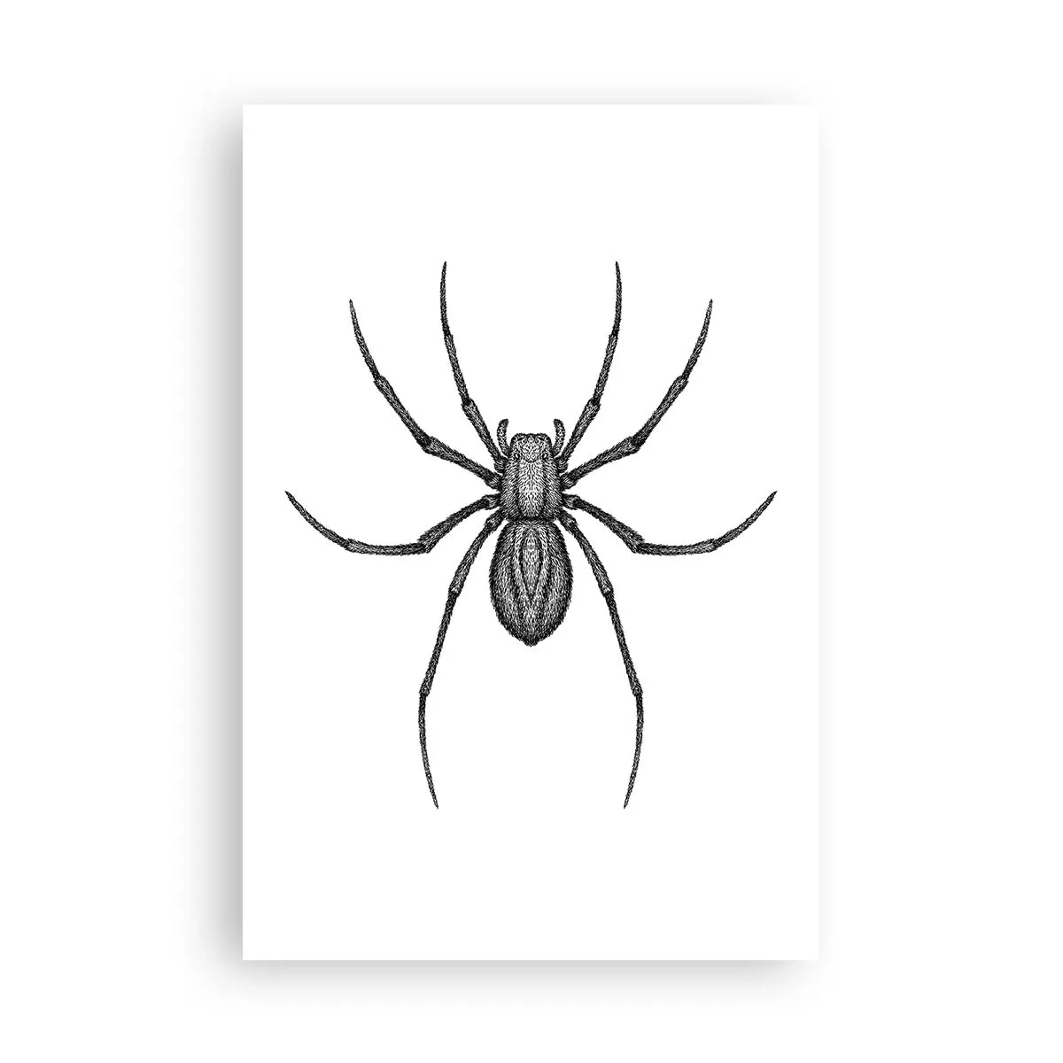 Plakat - Foruroligende præcision - 61x91 cm