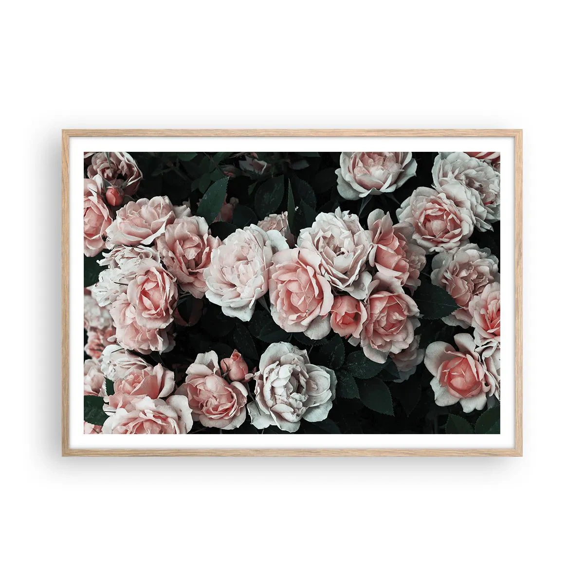 Plakat i ramme af lyst egetræ - Lyserød ansamble - 100x70 cm