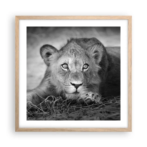 Plakat i ramme af lyst egetræ - Kongelig hvalp - 50x50 cm