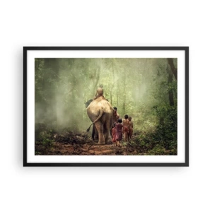 Plakat i sort ramme - Den nye Junglebog - 70x50 cm