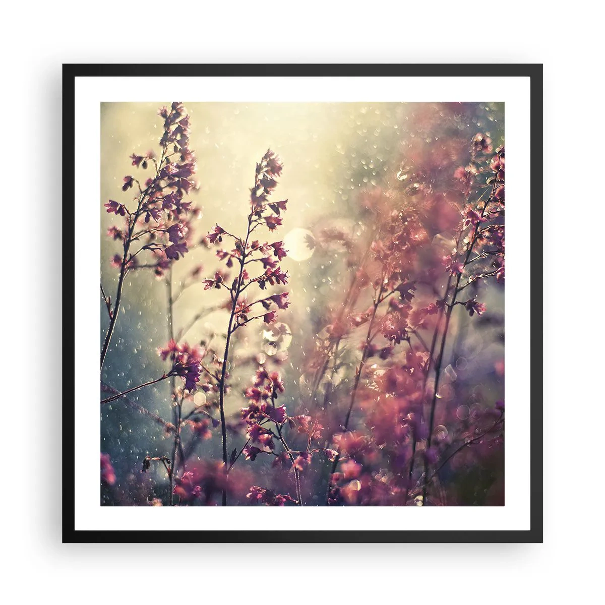 Plakat i sort ramme - Hemmelig have - 60x60 cm