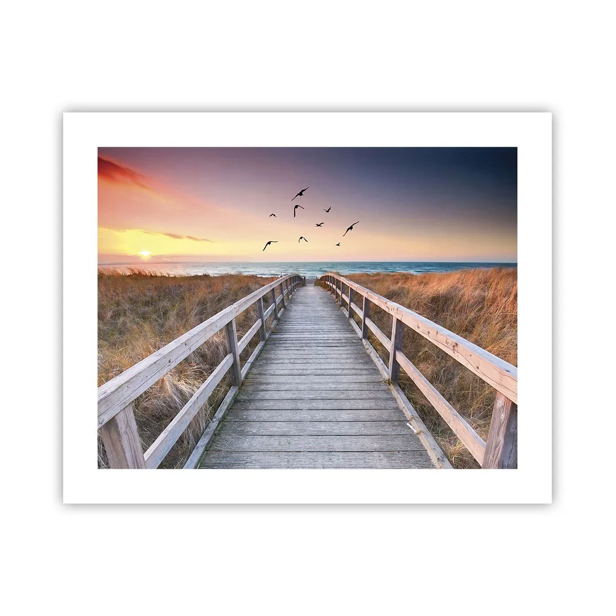 Plakat - Rummet med højder - 50x40 cm