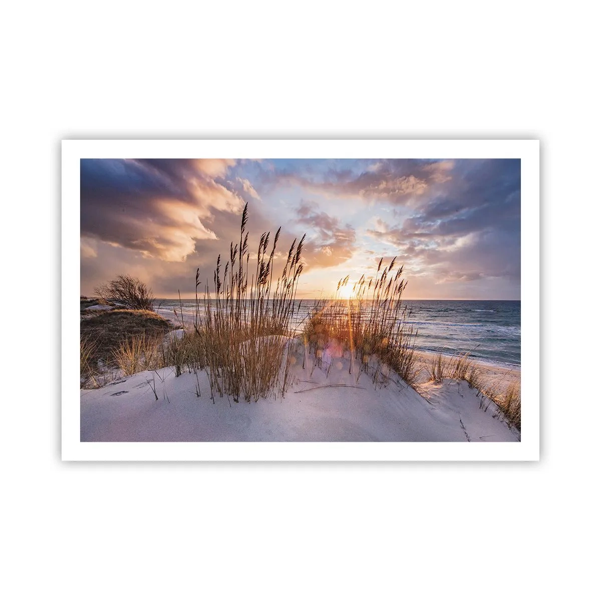 Plakat - Farvel til sol og vind - 91x61 cm