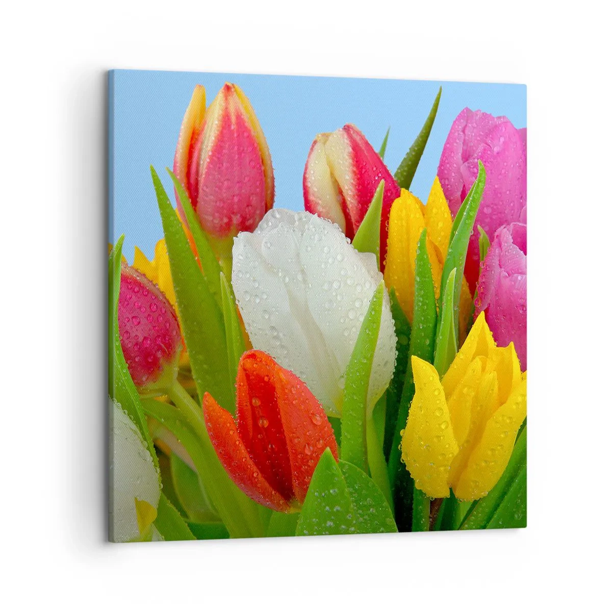 Lærredstryk - Billede på lærred - En blomstret regnbue i dugdråber - 50x50 cm
