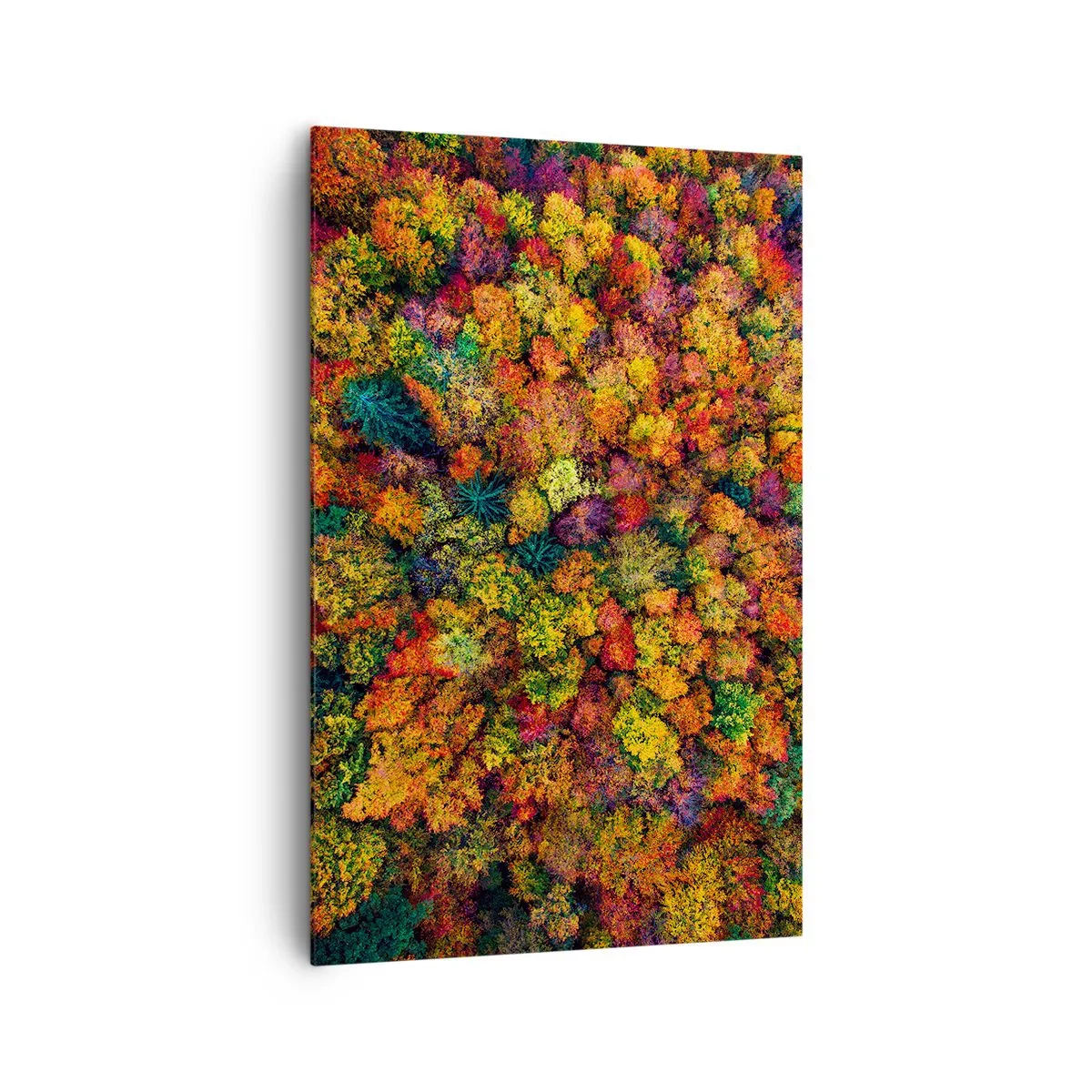 Lærredstryk - Billede på lærred - Buket af efterårstræer - 80x120 cm