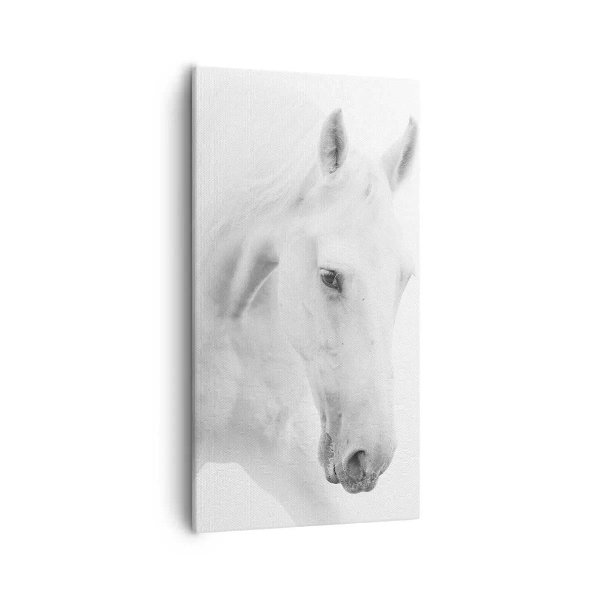 Lærredstryk - Billede på lærred - Er dette venskab...? - 55x100 cm