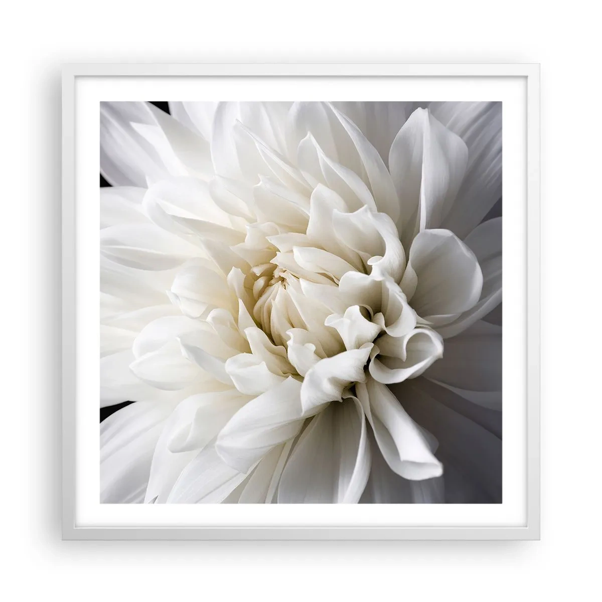 Plakat i hvid ramme - Morgenbrud - 60x60 cm