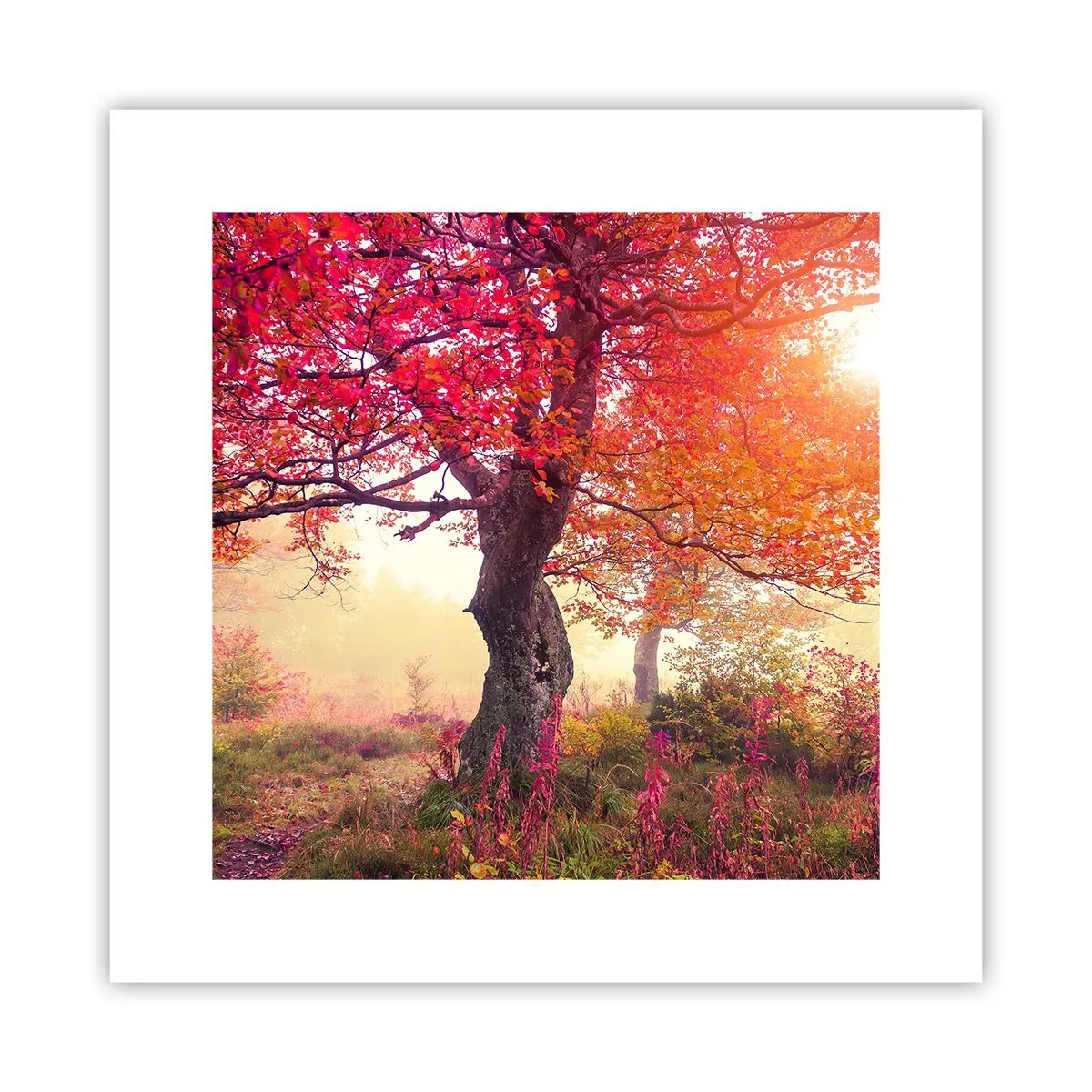 Plakat - Et væld af blomstring - 30x30 cm