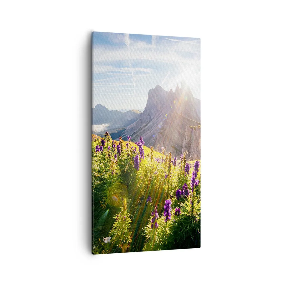 Lærredstryk - Billede på lærred - Urternes hemmelige liv - 55x100 cm