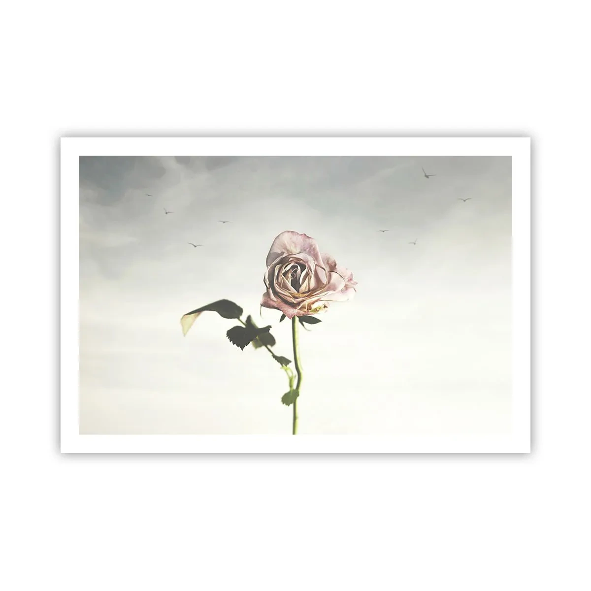 Plakat - Velkomst til foråret - 91x61 cm