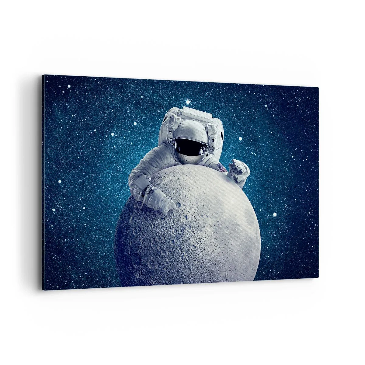 Lærredstryk - Billede på lærred - Kosmisk spøgefugl - 120x80 cm
