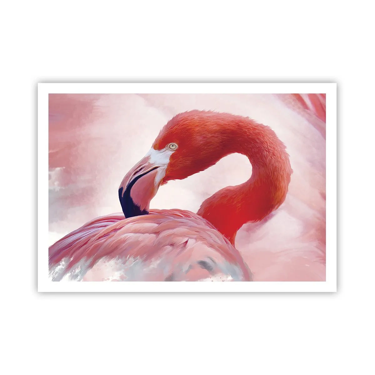 Plakat - Fugleskønhed - 100x70 cm