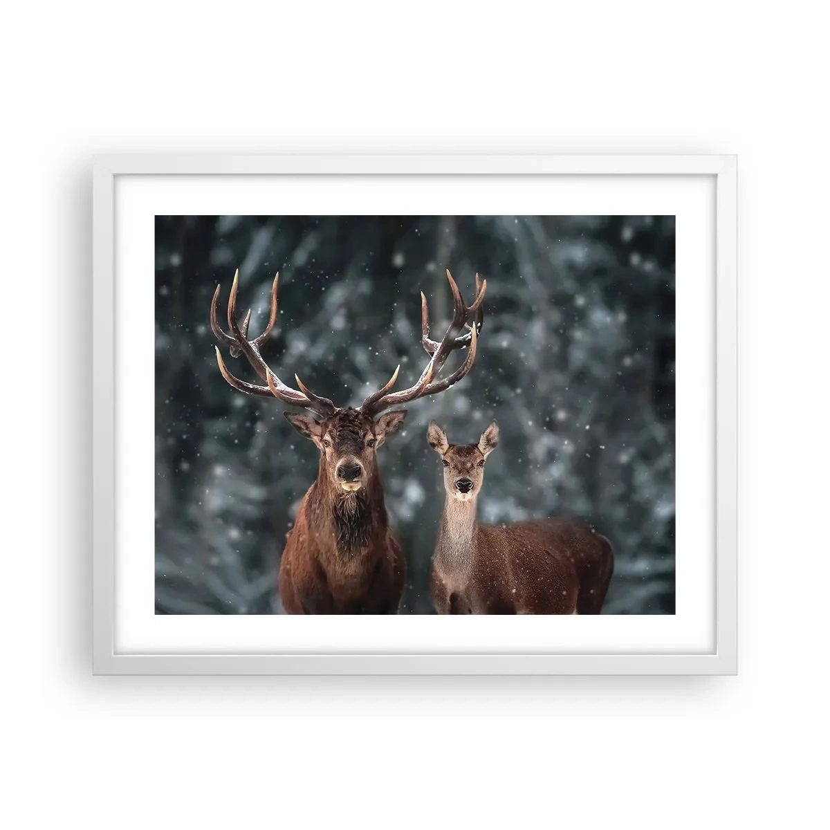 Plakat i hvid ramme - Skovens herre og hans kone - 50x40 cm