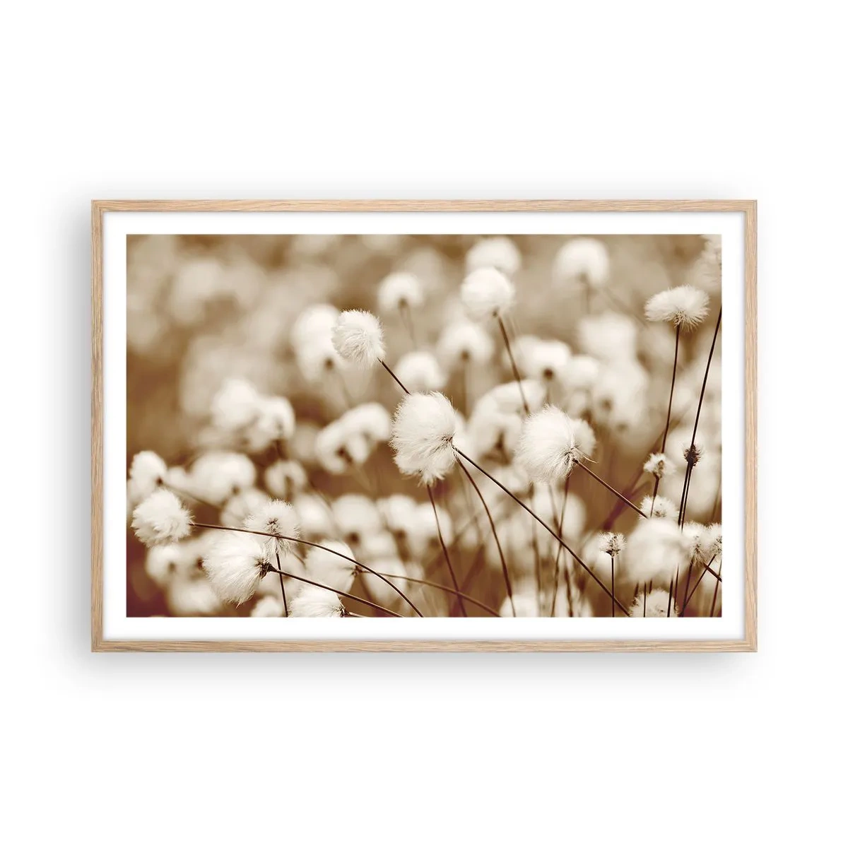 Plakat i ramme af lyst egetræ - Fyldig mark - 91x61 cm