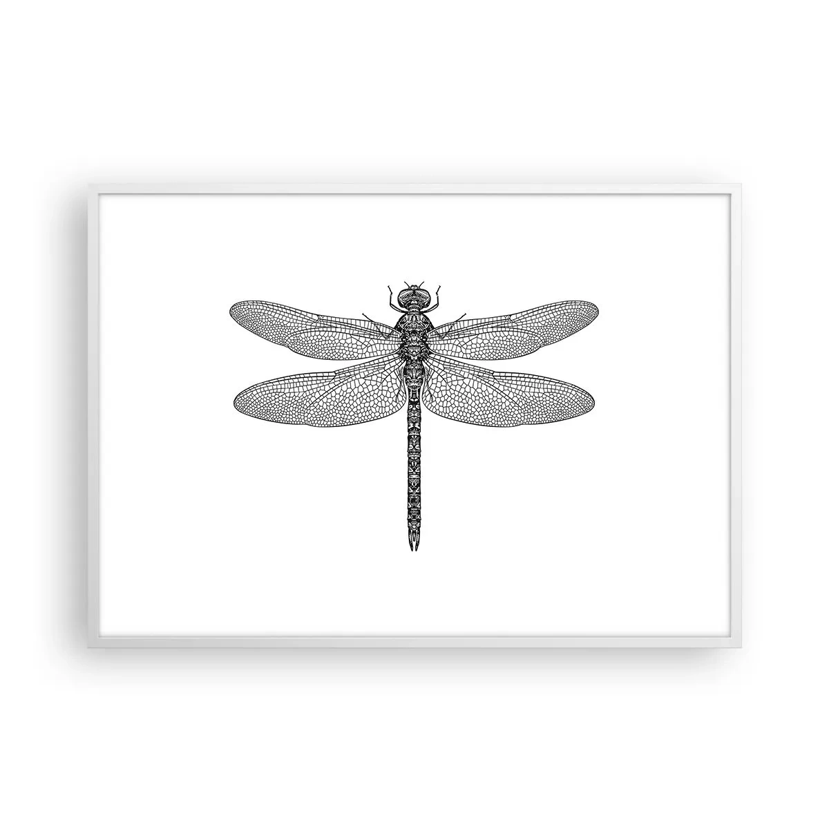 Plakat i hvid ramme - Præcision i naturen - 100x70 cm