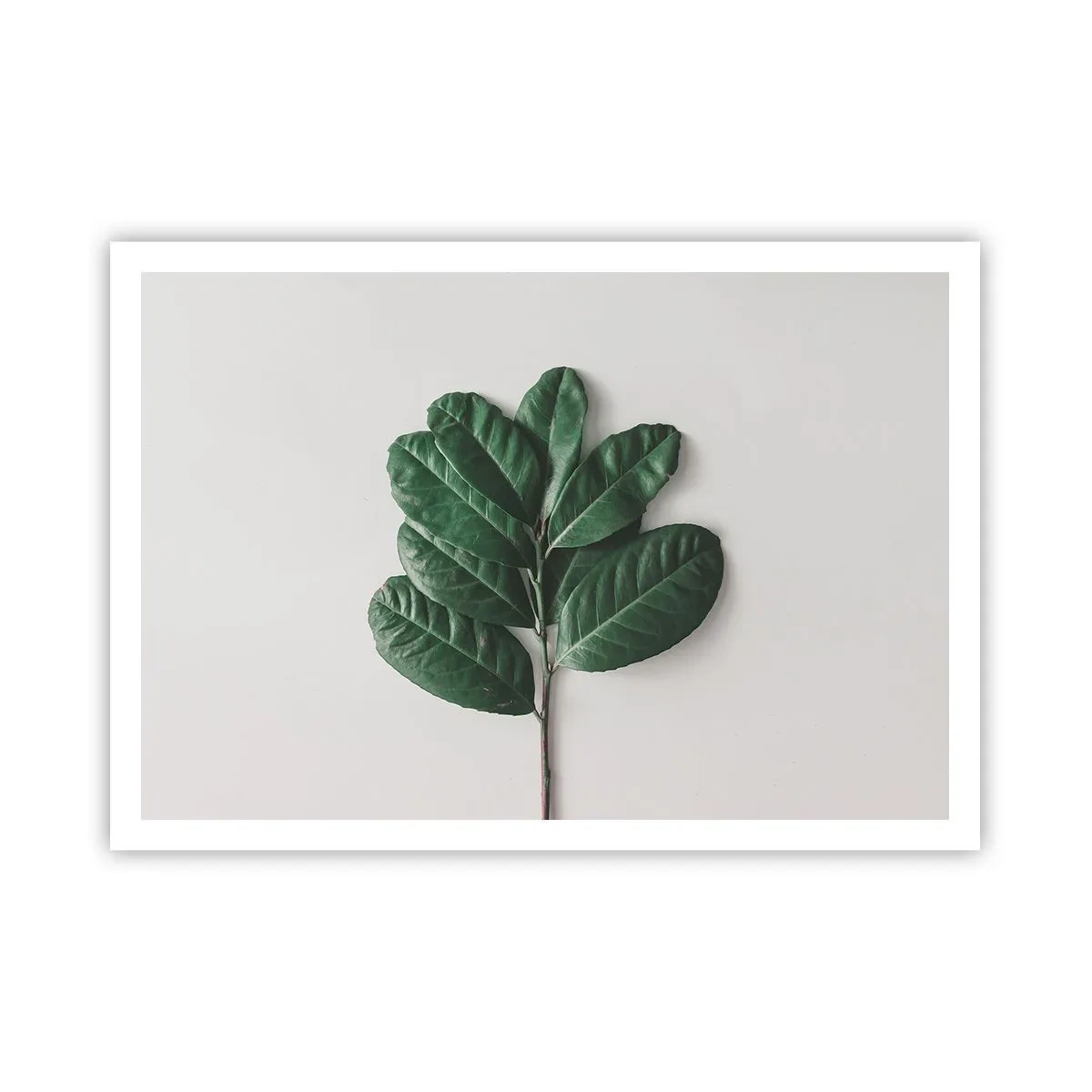 Plakat - Tegning af selve naturen - 100x70 cm