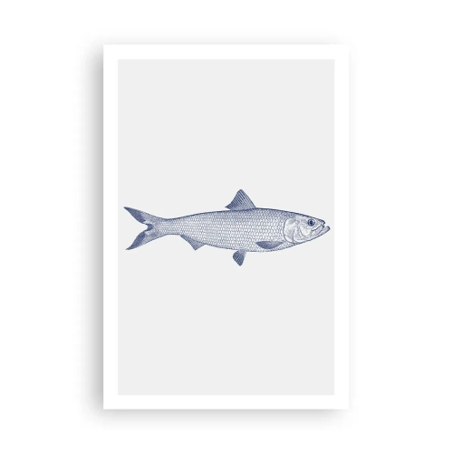 Plakat - Hilsner fra de nordlige have - 61x91 cm