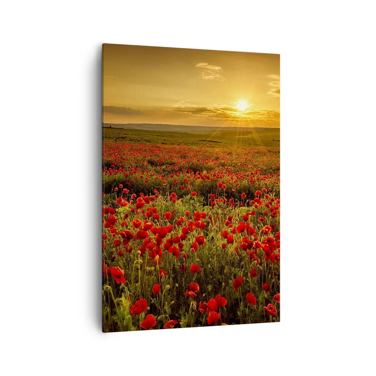 Lærredstryk - Billede på lærred - Blandt bølgerne af raslende enge, blandt flodblomster - 70x100 cm