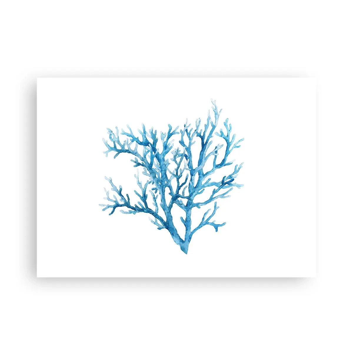 Plakat - Marint filigran - 70x50 cm