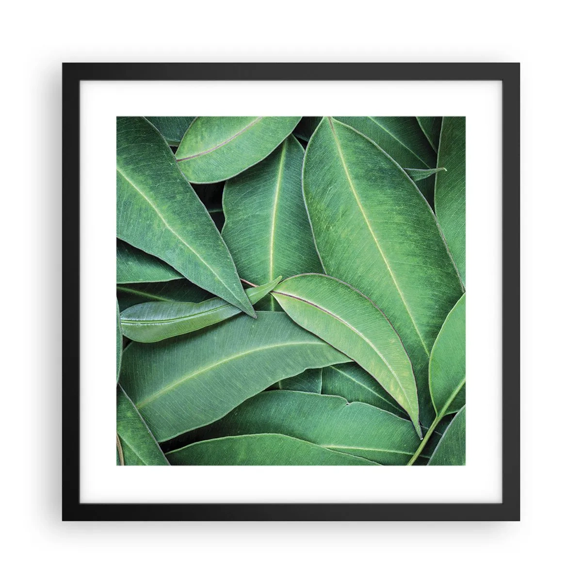 Plakat i sort ramme - Saftig og frisk - 40x40 cm