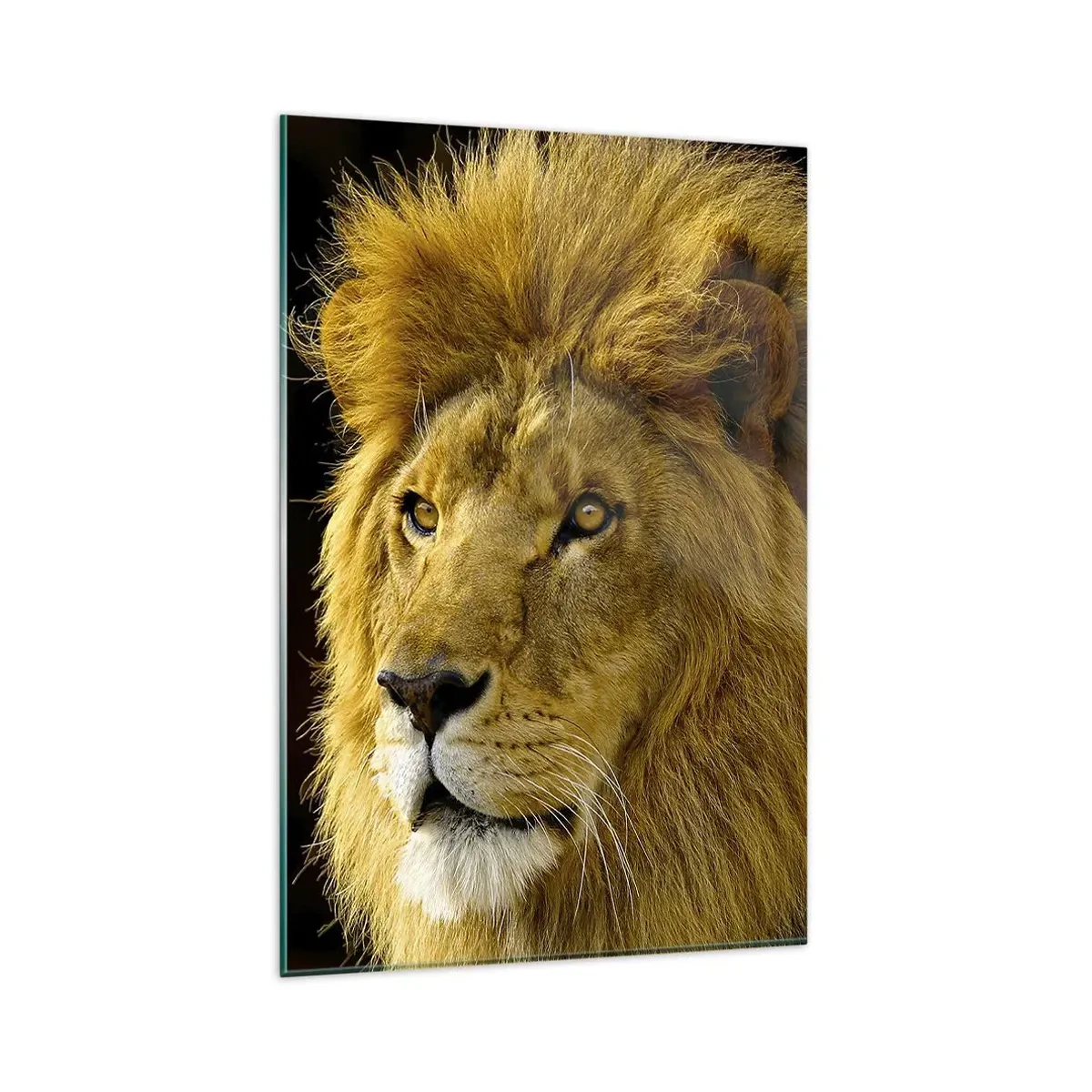 Billede på glas - Portræt af en konge - 80x120 cm