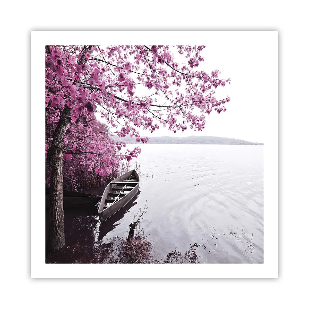 Plakat - I lyserød stilhed - 60x60 cm