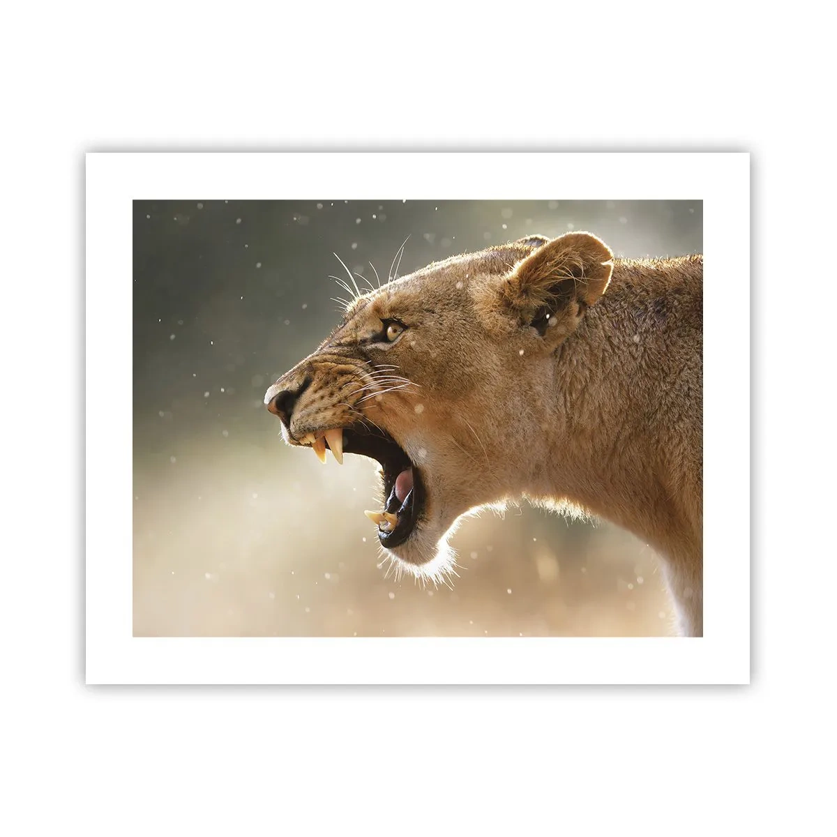 Plakat - Prøv ikke at lytte - 50x40 cm