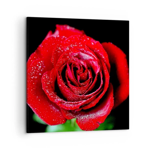 Lærredstryk - Billede på lærred - Det er kærlighed - 50x50 cm