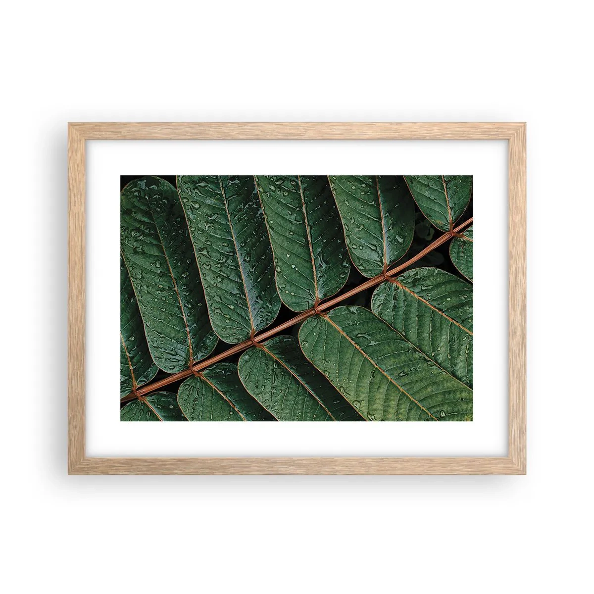Plakat i ramme af lyst egetræ - I en grøn rytme - 40x30 cm