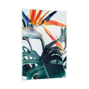 Billede på glas - Fuglebur - 50x70 cm