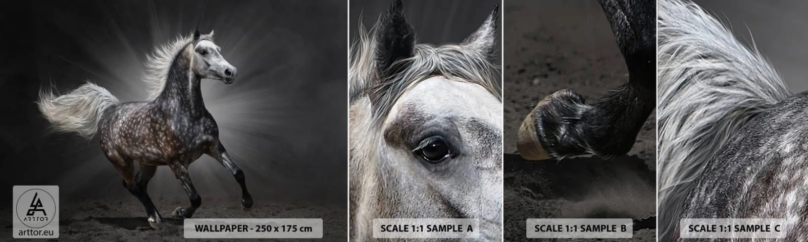 Prøve Fototapet Selvklæbende Deluxe Sticker - Gråt er smukt - Dyr, arabisk hest, Natur - 100x30 cm