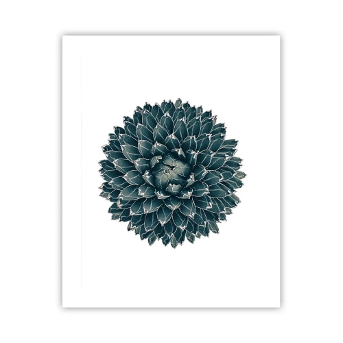 Plakat - Ørkenstjerne - 40x50 cm