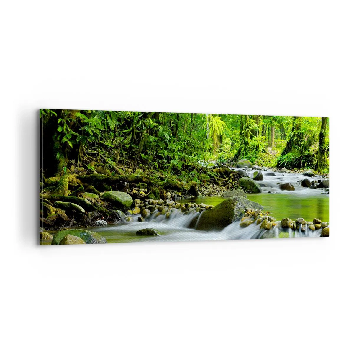 Lærredstryk - Billede på lærred - Svøm i et hav af grønt - 100x40 cm