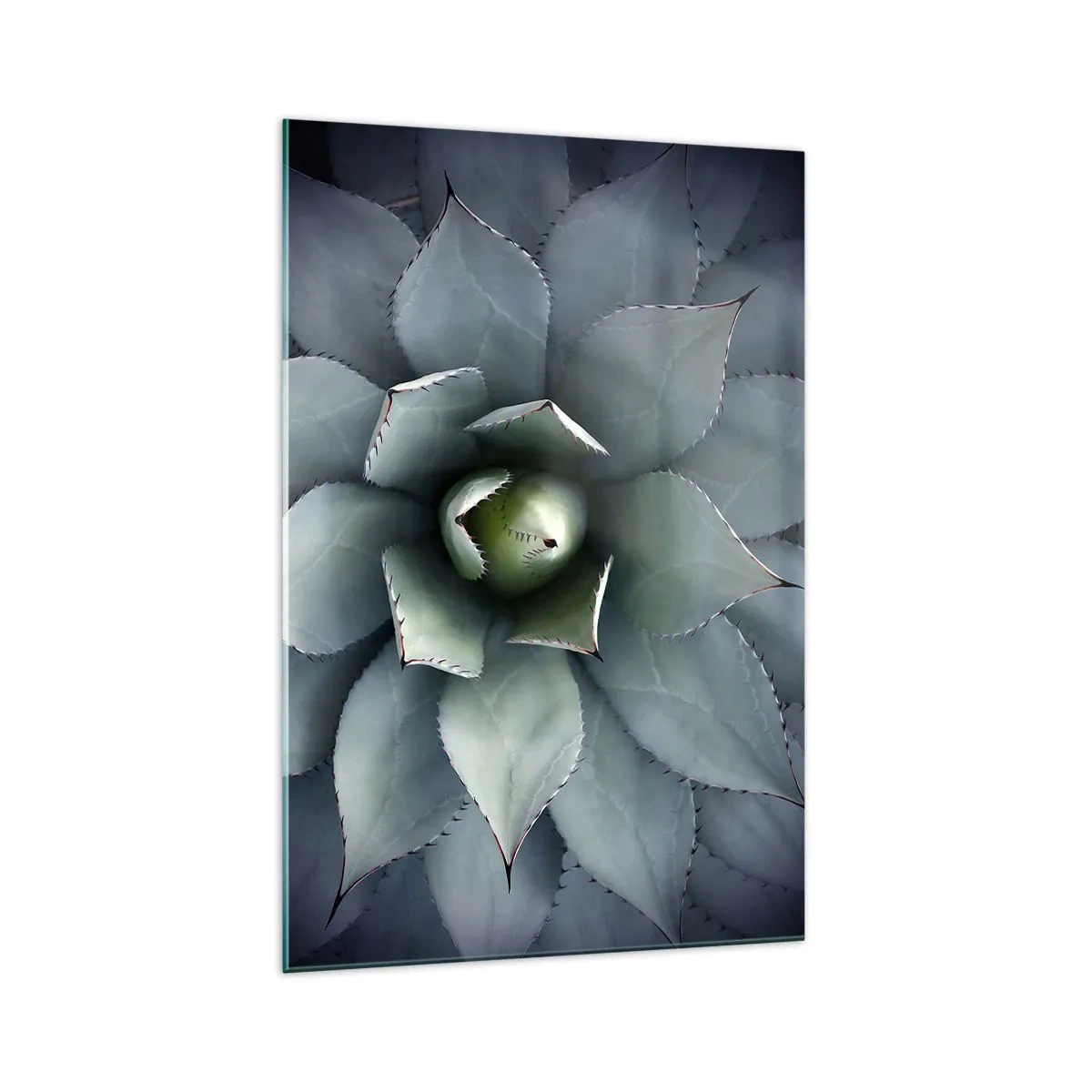 Billede på glas - Lokkemad og advarsler - 70x100 cm