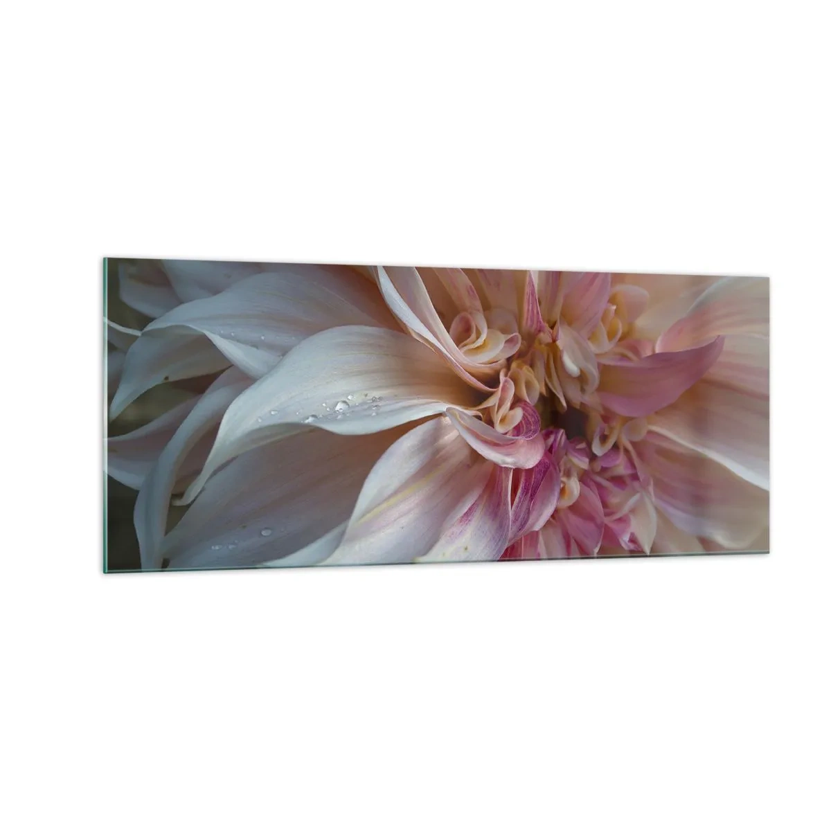Billede på glas - Blomstrende friskhed - 100x40 cm