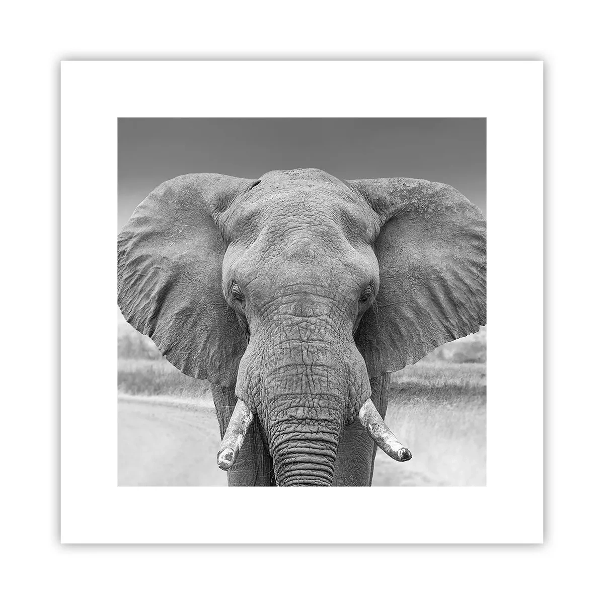 Plakat - Velkommen til min verden - 30x30 cm