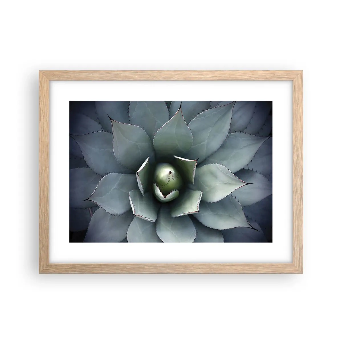 Plakat i ramme af lyst egetræ - Lokkemad og advarsler - 40x30 cm