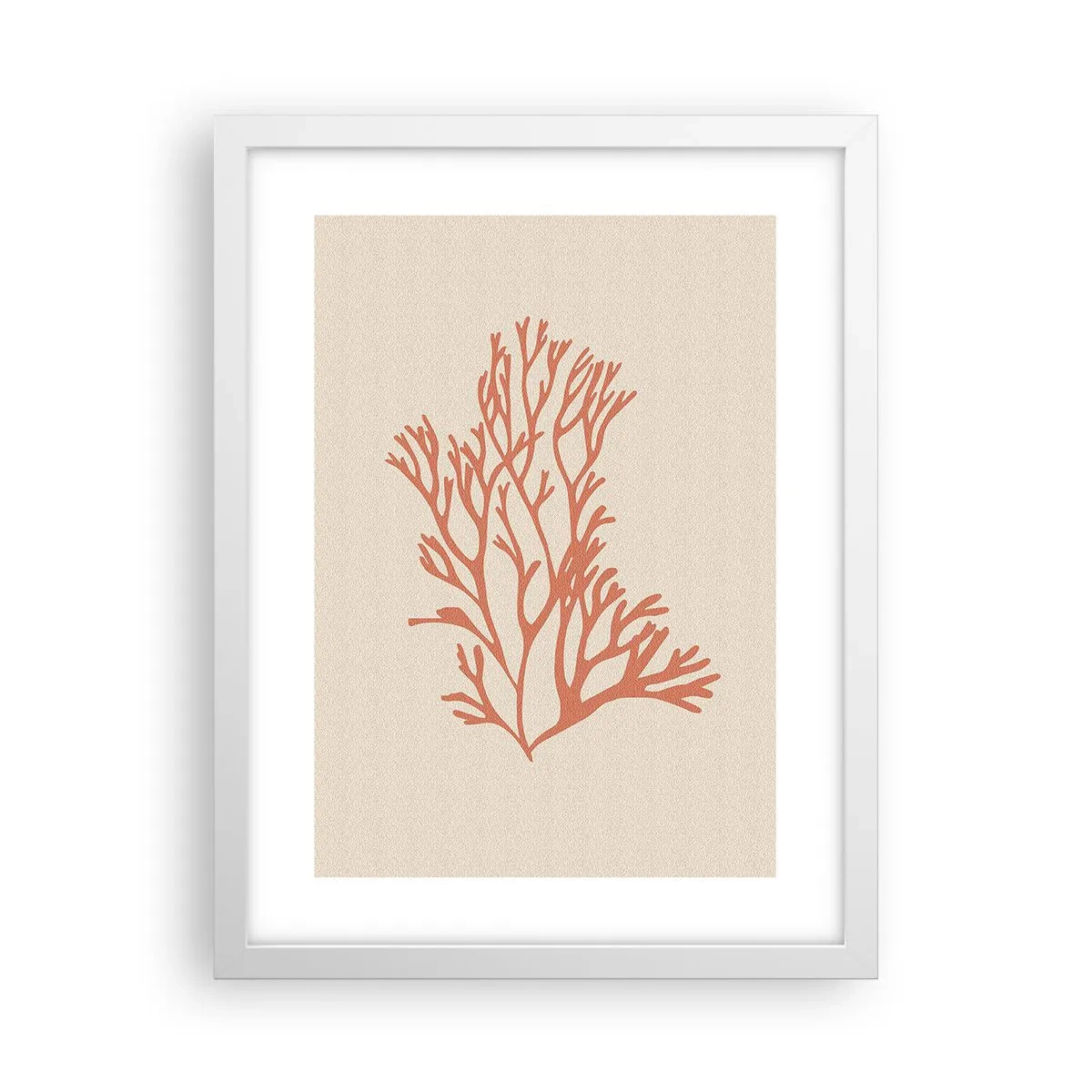 Plakat i hvid ramme - Koral filigran - 30x40 cm
