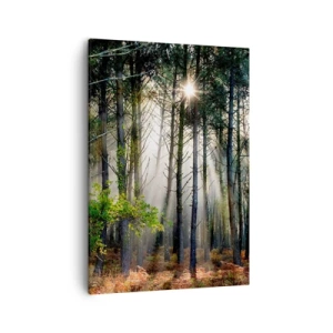 Lærredstryk - Billede på lærred - Skovens vildnis - 50x70 cm