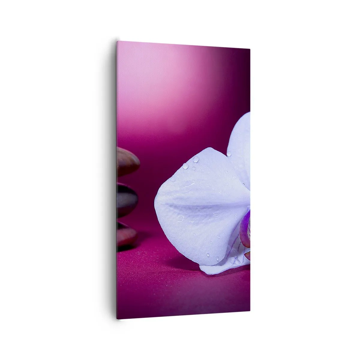 Lærredstryk - Billede på lærred - En undersøgelse af friskhed i lilla - 65x120 cm