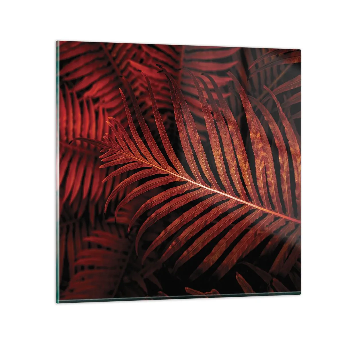 Billede på glas - Livets varme - 70x70 cm