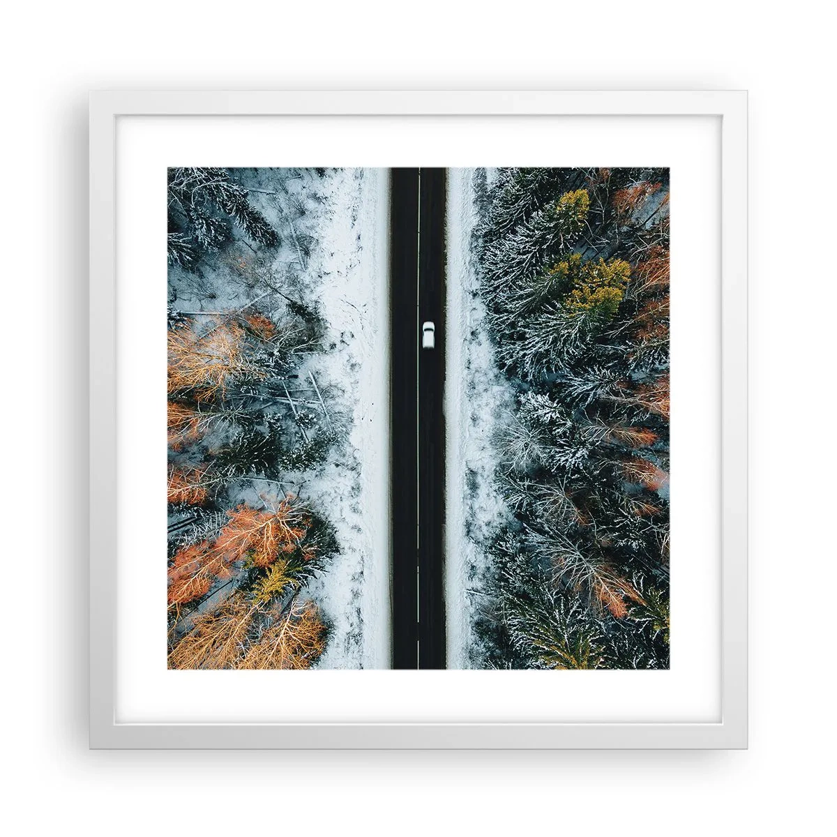Plakat i hvid ramme - Skær gennem vinterskoven - 40x40 cm