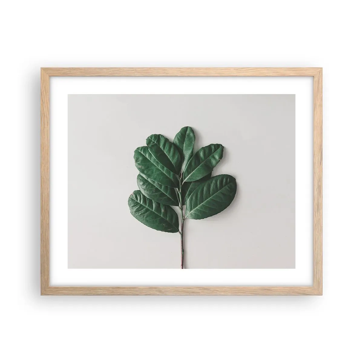 Plakat i ramme af lyst egetræ - Tegning af selve naturen - 50x40 cm