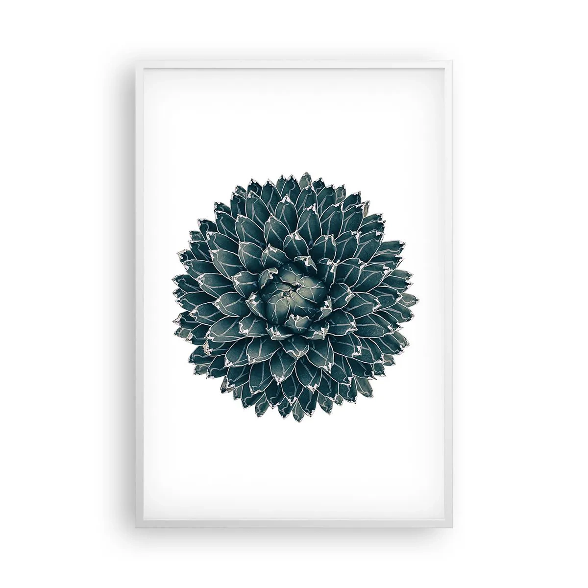 Plakat i hvid ramme - Ørkenstjerne - 61x91 cm