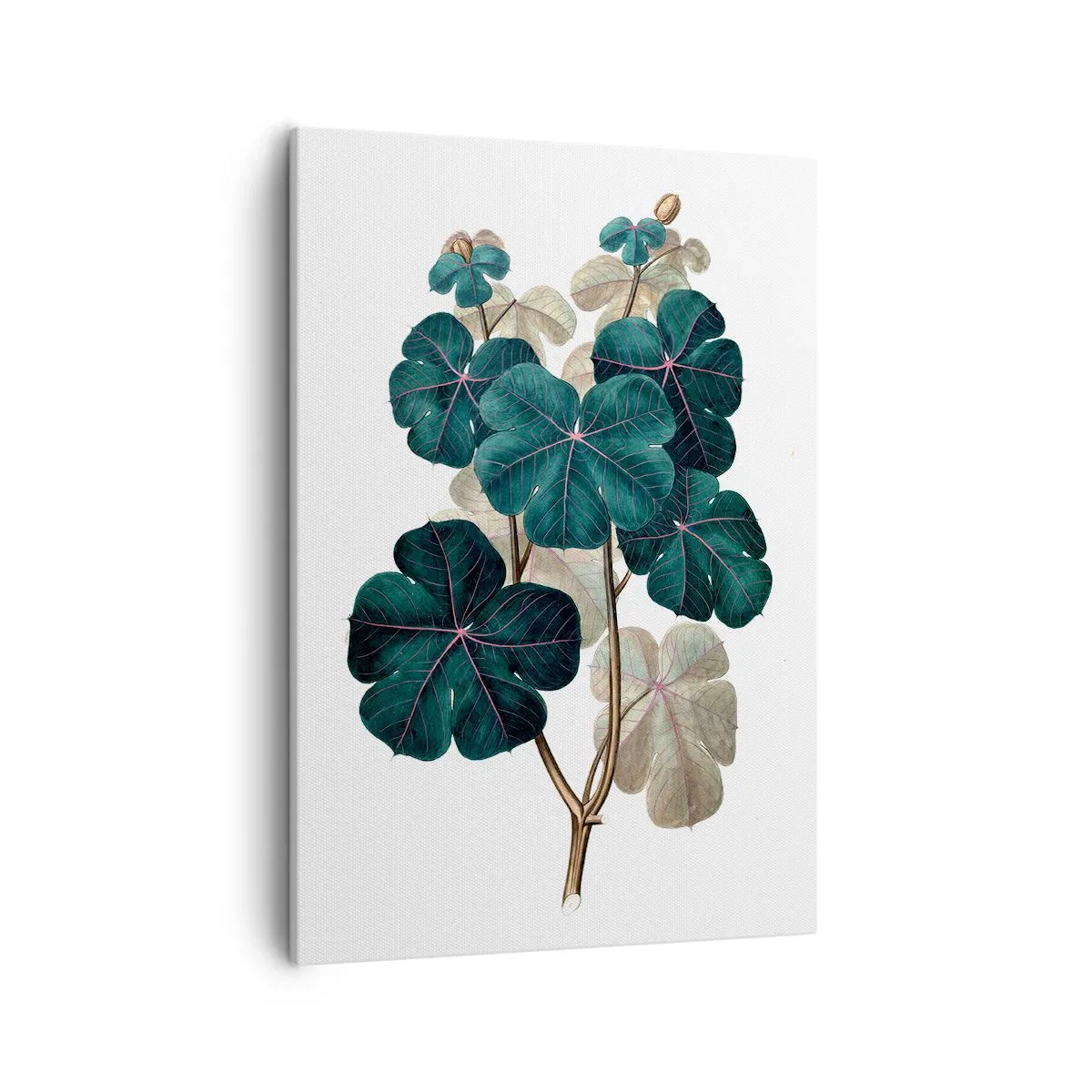 Lærredstryk - Billede på lærred - Fra et gammelt herbarium - 50x70 cm