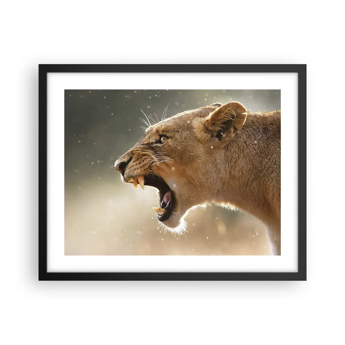 Plakat i sort ramme - Prøv ikke at lytte - 50x40 cm